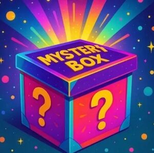Mystery Box With Clothing Items Size LARGE